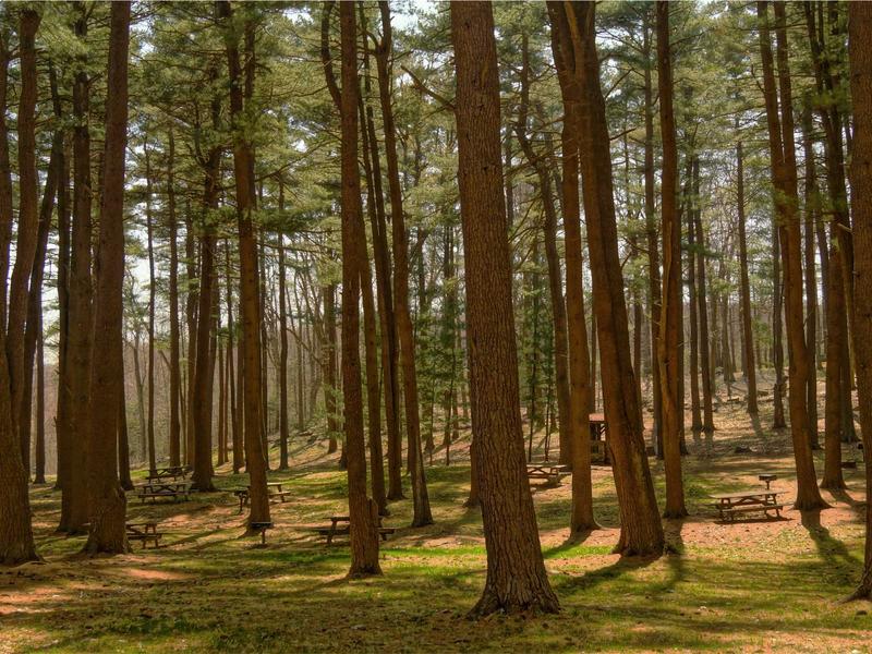 community screenshot 2