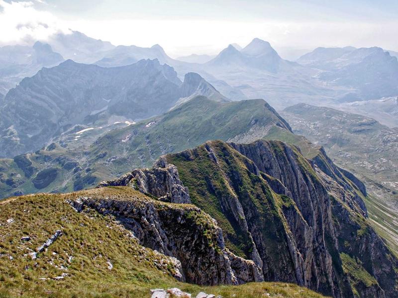 contact screenshot 3